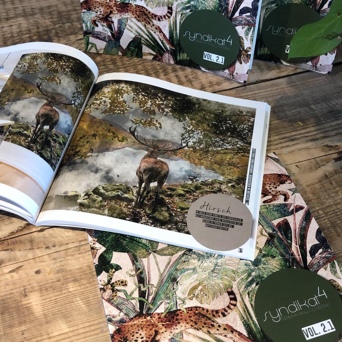 Tapeten Musterbuch Katalog Oktober 2019